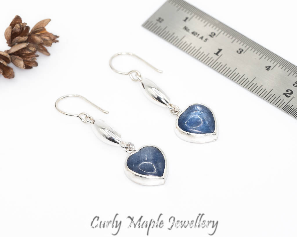 Heart Blue Kyanite Silver Pod Earrings
